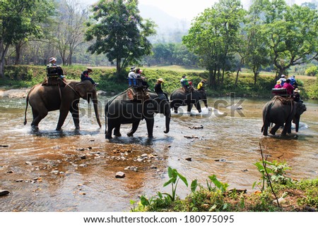 Tourists riding elephants across the river Royalty-Free Stock Photo #180975095