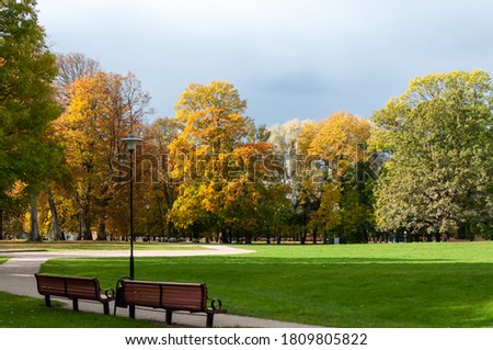 Calm autumn day at city park