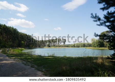 the lake in the forest in summer against the blue sky