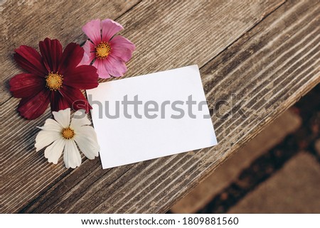 Floral stationery still life scene. Blank greeting card mock-up on old wooden table background with white and pink cosmos flowers. Flat lay, top view. Feminine birthday or wedding composition.