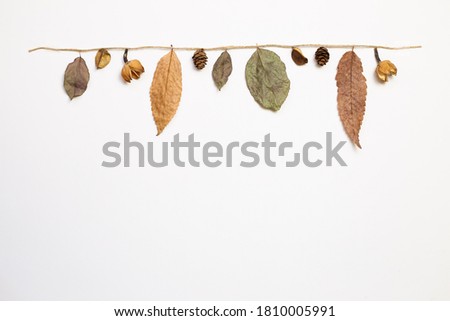 Autumn dry leaves hanging on a string with white background. flat lay, top view, copy space