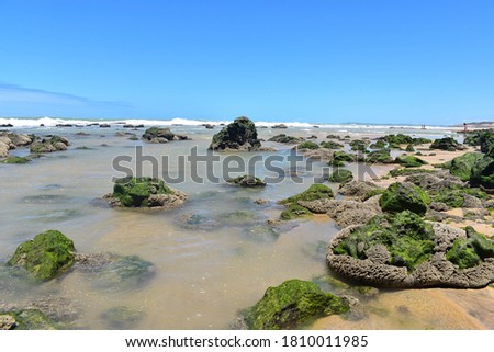 Shot of a tropical paradise rocky beach in the Northeat region of Brazil on a sunny summer day. The water is blue and some rocks are covered with moss.