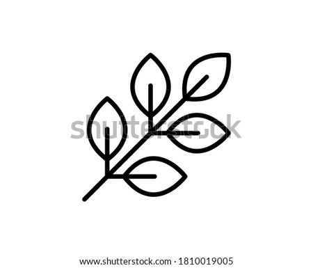 Leaf premium line icon. Simple high quality pictogram. Modern outline style icons. Stroke vector illustration on a white background. 