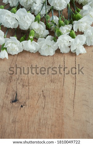 beautiful carnations on dark wooden surface