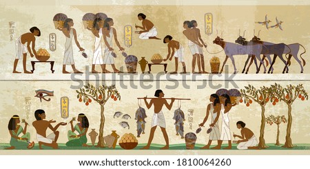 Ancient Egypt frescoes. Agriculture, workmanship, fishery, farm. Hieroglyphic carvings on exterior walls of an temple. Life of egyptians  Royalty-Free Stock Photo #1810064260