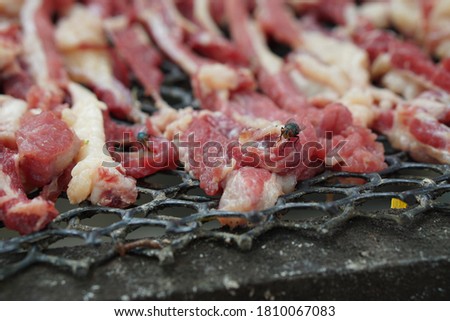 Picture of dried meat with flies.