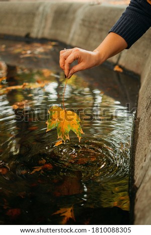 Autumn background, Fall its coming, Hello autumn, Things to come, Beautiful fall. Female Hand holds maple yellow leaf on the background water in the fountain.