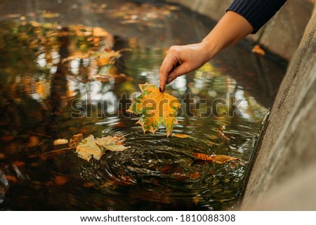 Autumn background, Fall its coming, Hello autumn, Things to come, Beautiful fall. Female Hand holds maple yellow leaf on the background water in the fountain. Royalty-Free Stock Photo #1810088308