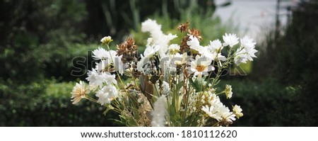 blurred Artificial flowers Bouquet Dried statice flower soft white tone color in vintage style, Concept for write text design in front background