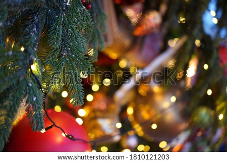 branch of a Christmas tree and blurred bokeh in the background