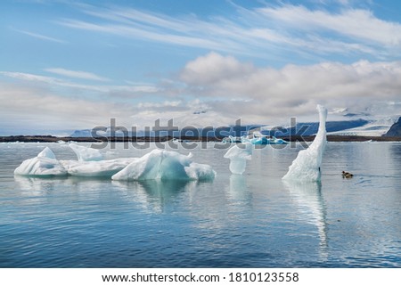 Beautiful cold landscape picture of icelandic glacier lagoon bay. Selective focus