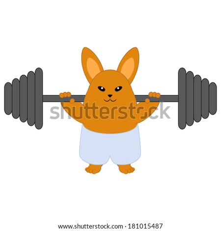 Strong bunny holding a barbell. Isolated on white