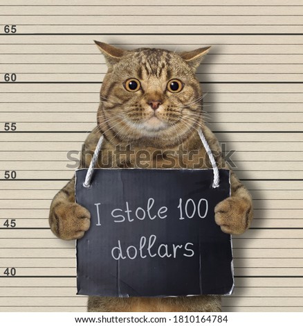 A beige big eyed cat was arrested. He has a sign around its neck that says I stole 100 dollars. Police lineup background.
