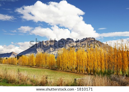 beautiful mountain in autumn at New Zealand