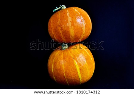 Pumpkins on a black background. Halloween mood. The concept of Halloween, holiday and harvest.
