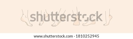 Vector human foot in various poses. Hand drawing with a line. Set of female feet for design. Royalty-Free Stock Photo #1810252945