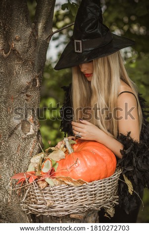 Halloween Witch in a forest. Beautiful young woman in witches modern dress . Halloween time . Theme For Halloween Concept