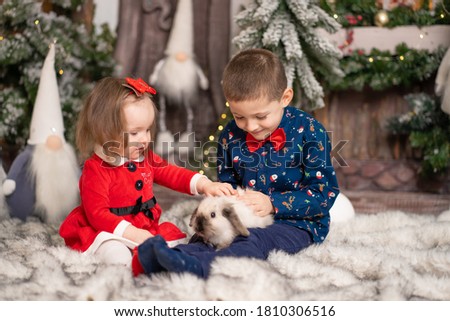 For young children, Santa gave a fluffy rabbit for Christmas. Family holidays, Christmas tale. Best childhood memories.