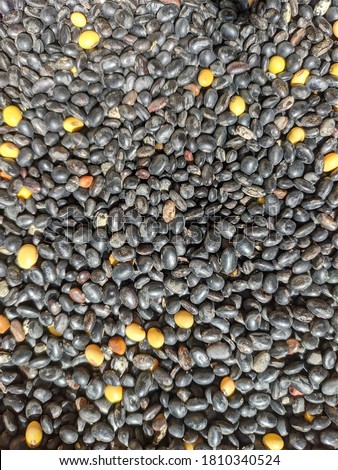 uttarakhand,india-3 june 2020:bhat pulses.this is a picture of pulses that are eaten with rice in india.these are kept in sun light to dry. black lentils