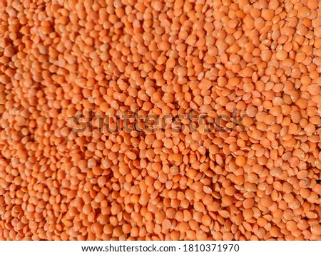uttarakhand,india-3 june 2020:malka pulses.this is a picture of indian pulses in bright sun light.these are kept in sun light to dry.split red lentils.