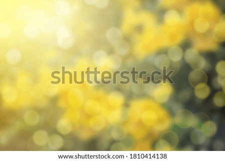 Bokeh blurry with yellow flower background
