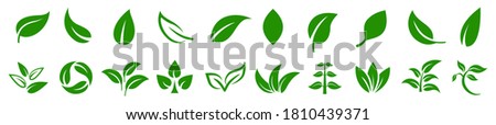 Leaf icons set ecology nature element, green leafs, environment and nature eco sign. Leaves on white background – stock vector