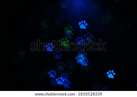 Colorful paw-shaped bokeh overlay made from small lights.