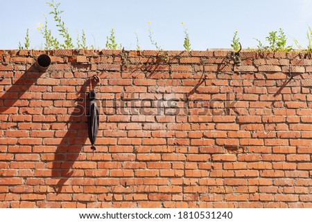 Brick wall. Brick wall background