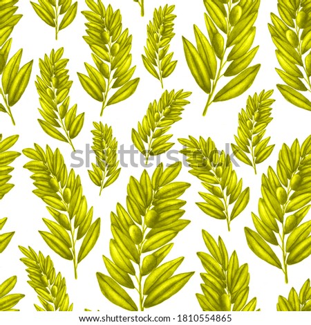 Olive branches seamless pattern. Olive branches and leaves isolated on white background. For textile, tablecloths, wallpapers, towels, kitchen decor.
