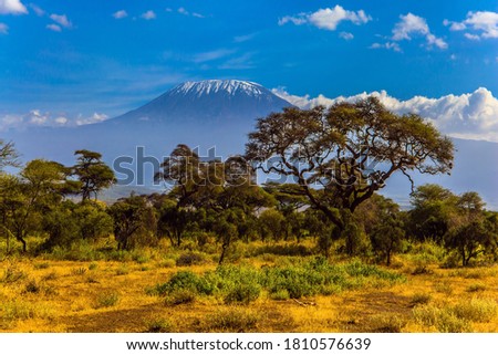Kilimanjaro is Africa’s highest point of the continent. The famous snow peak of Kilimanjaro. Savanna with rare bushes and desert acacia. The concept of active, exotic, ecological and photo tourism Royalty-Free Stock Photo #1810576639