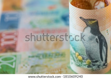 Currency of New Zealand, Money worth 5 dollars with a yellow eyed penguin rolled up against the background of other banknotes