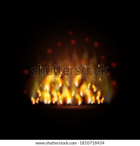 Fire on a black background. Barbecue flame. Fire for the fireplace. Hot wallpaper. Vector illustration.