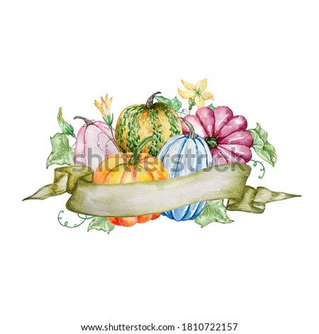 Watercolor autumn label. Hand painted ribbon with bright pumpkins with leaves and flowers isolated on white background. Botanical illustration for design.