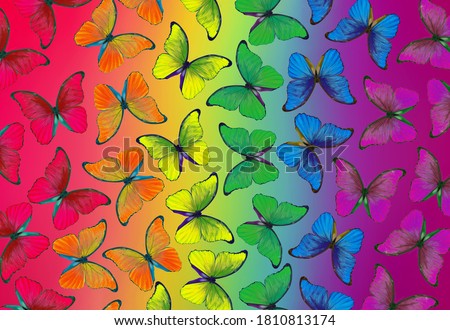 Colors of rainbow. Pattern of multicolored morpho butterflies