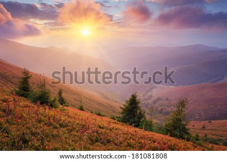 Fantastic sunshine in the mountains. Autumn landscape with the evening sun. Carpathians, Ukraine