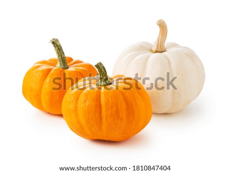 Orange and white pumpkin on a white background