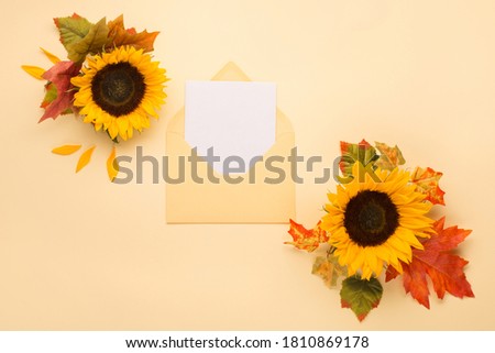Beautiful fresh sunflowers with leaves on yellow background. Flat lay, top view. Autumn, Thanksgiving day, Halloween Holiday concept. Harvest time, agriculture. Decorative floral corners.