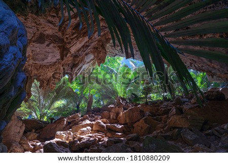 Colors of dark stone cave with large opening and green ancient palm trees in Uthai Thani, Thailand.