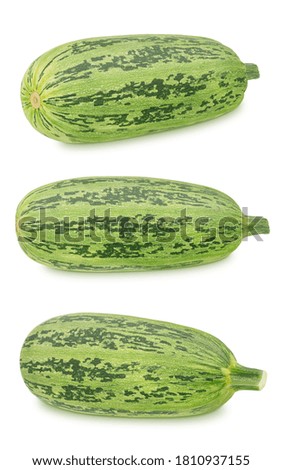 Set of fresh whole green vegetable marrow zucchini isolated on a white background. Clip art image for package design.