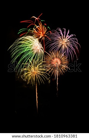 Colorful fireworks celebration and the midnight sky background.