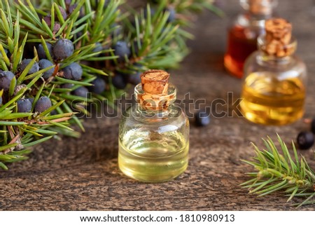 Bottles of essential oil with fresh juniper twigs and berries on a wooden background Royalty-Free Stock Photo #1810980913