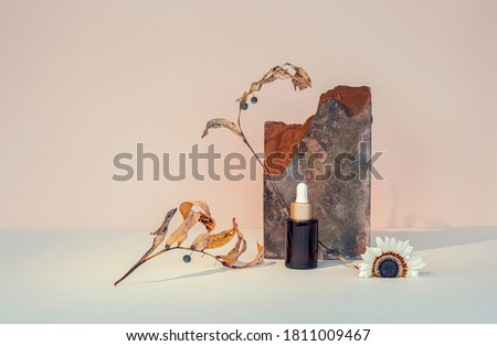 Cosmetic in a dark glass bottles, old brick, dry plants.Beige fabric background. Wabi sabi concept Royalty-Free Stock Photo #1811009467