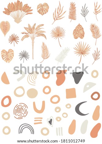 Sand Jungle floral and abstract elements. Terracotta dusty color pallet tropical plants and geometric abstract elements