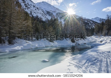 Snowy landscape with Roseg river and a larch forest, Roseg valley, Pontresina, canton of Grisons, Engadin, Switzerland Royalty-Free Stock Photo #1811024206