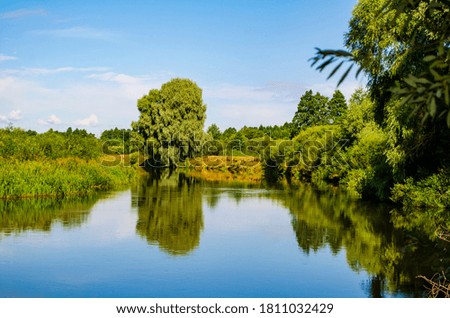 landscape of a river with steep banks and overhanging bushes