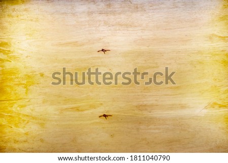 Background texture photo of wood board of a counter