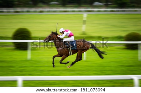 Jockey during horse race on his horse going towards finish line on the first place. Traditional European sport. Shaving effect. Royalty-Free Stock Photo #1811073094