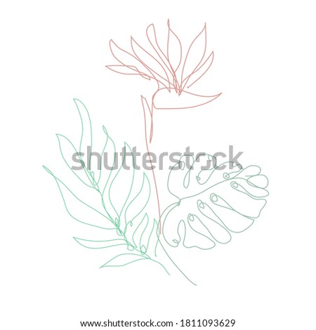 Decorative hand drawn strelitza and tropical leaves, design elements. Can be used for cards, invitations, banners, posters, print design. Continuous line art style