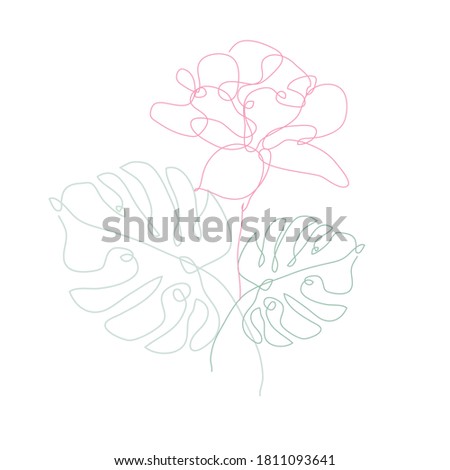 Decorative hand drawn tulip and monstera, design elements. Can be used for cards, invitations, banners, posters, print design. Continuous line art style