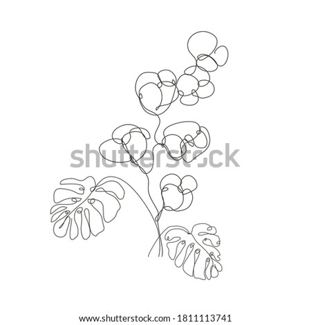 Decorative hand drawn cotton and monstera, design elements. Can be used for cards, invitations, banners, posters, print design. Continuous line art style